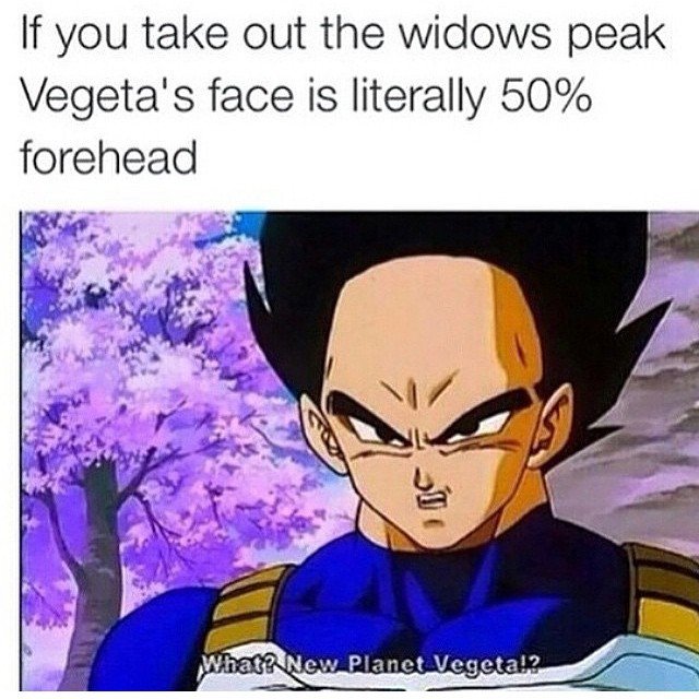 20 Hilarious Dragon Ball Memes You've Always Wished For