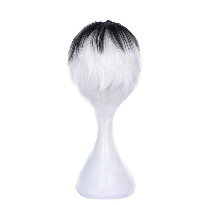 Tokyo Ghoul Haise Sasaki Heat Resistant Black and White Cosplay Wig Tokyo Ghoul Haise Sasaki Heat Resistant Black and White Cosplay Wig